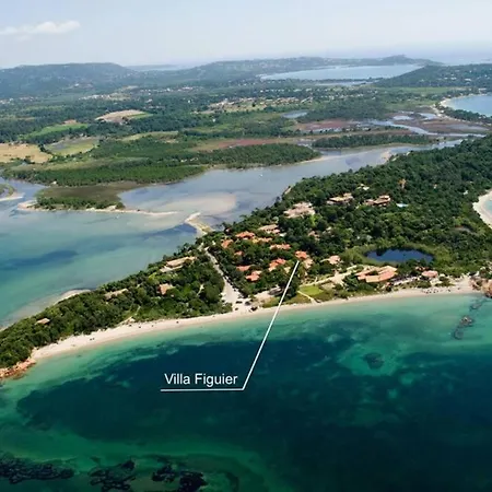 U Benedettu - Figuier Holiday home Lecci