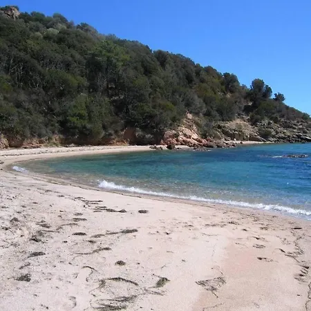 Holiday home U Benedettu - Figuier