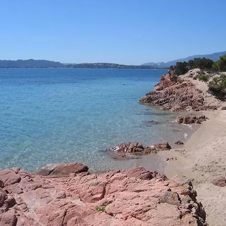 Holiday home U Benedettu - Figuier Lecci
